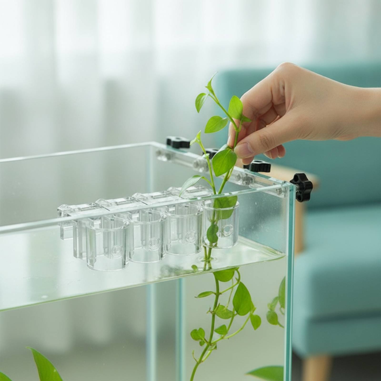 Aquarium Planted Aquarium - Set di 6 Supporti per Piante