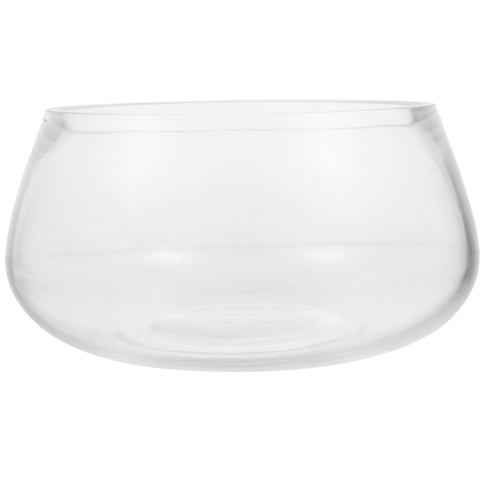 Planted Aquarium Bowl - Mini Acquario Rotondo in Vetro Trasparente