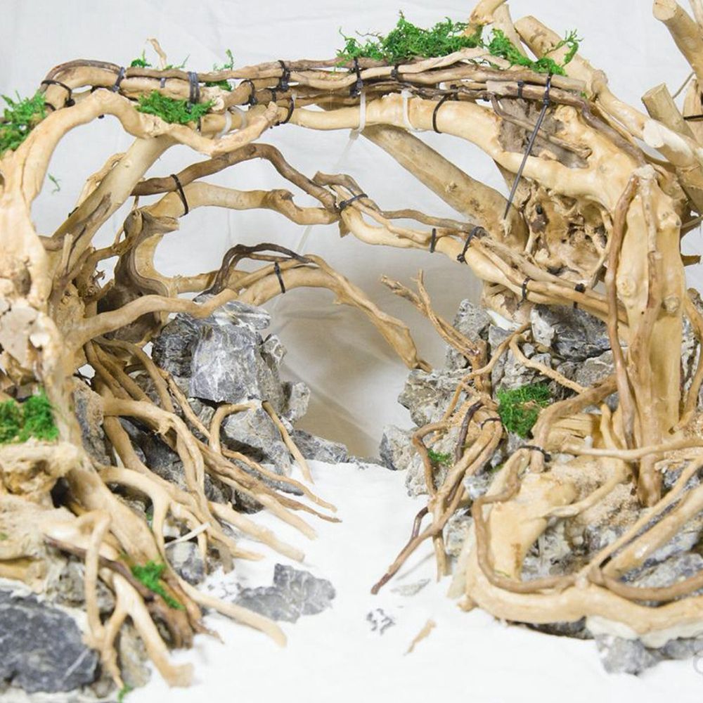 Aquarium Plant Live - Legno N1N per Terrario Rettili, Decorazione