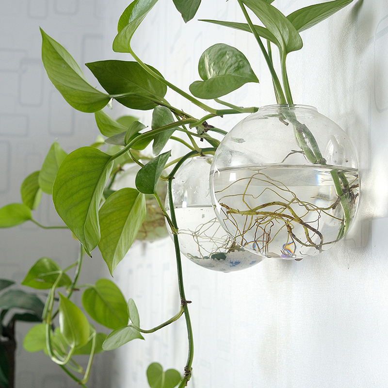 Planted Aquarium Bowl - Ciotola per pesci in acrilico da