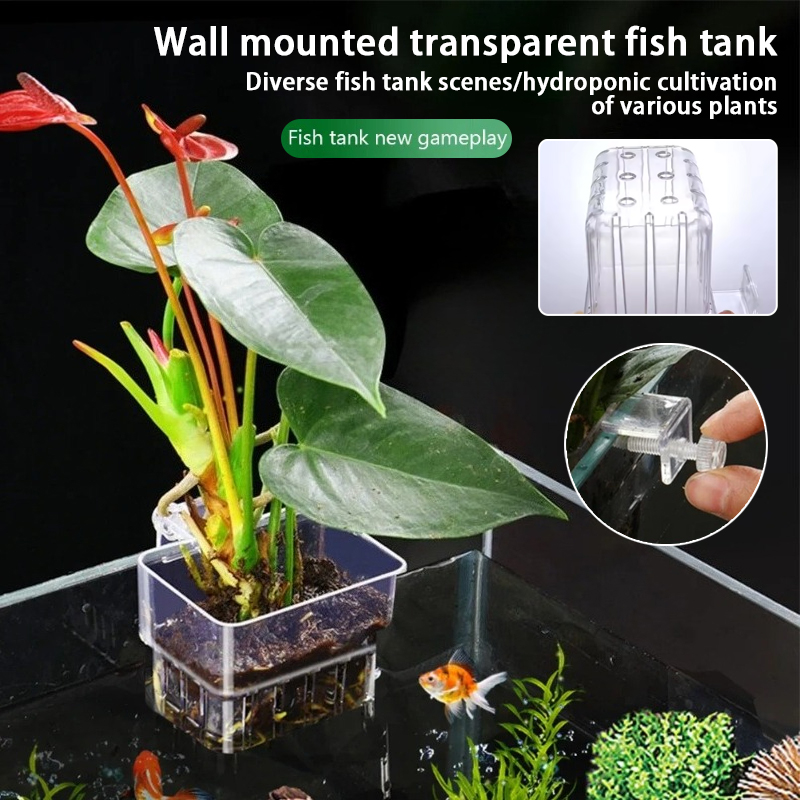 Aquarium Plant Live - Vasi pensili per acquario, supporti a
