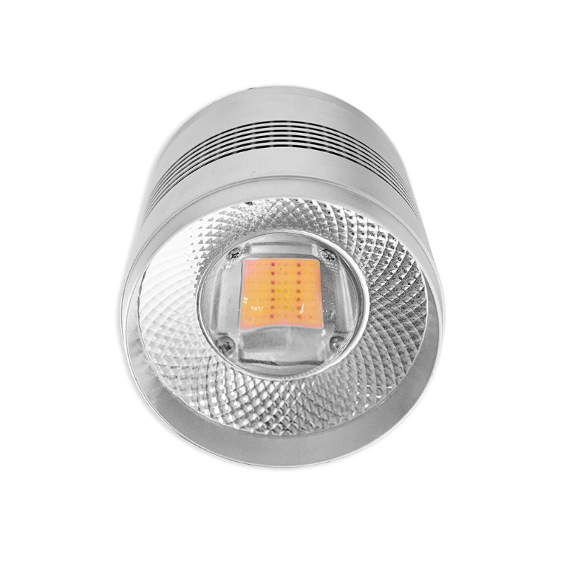 Planted Aquarium Algae Control - Lampada LED 70W per Acquari d'Acqua