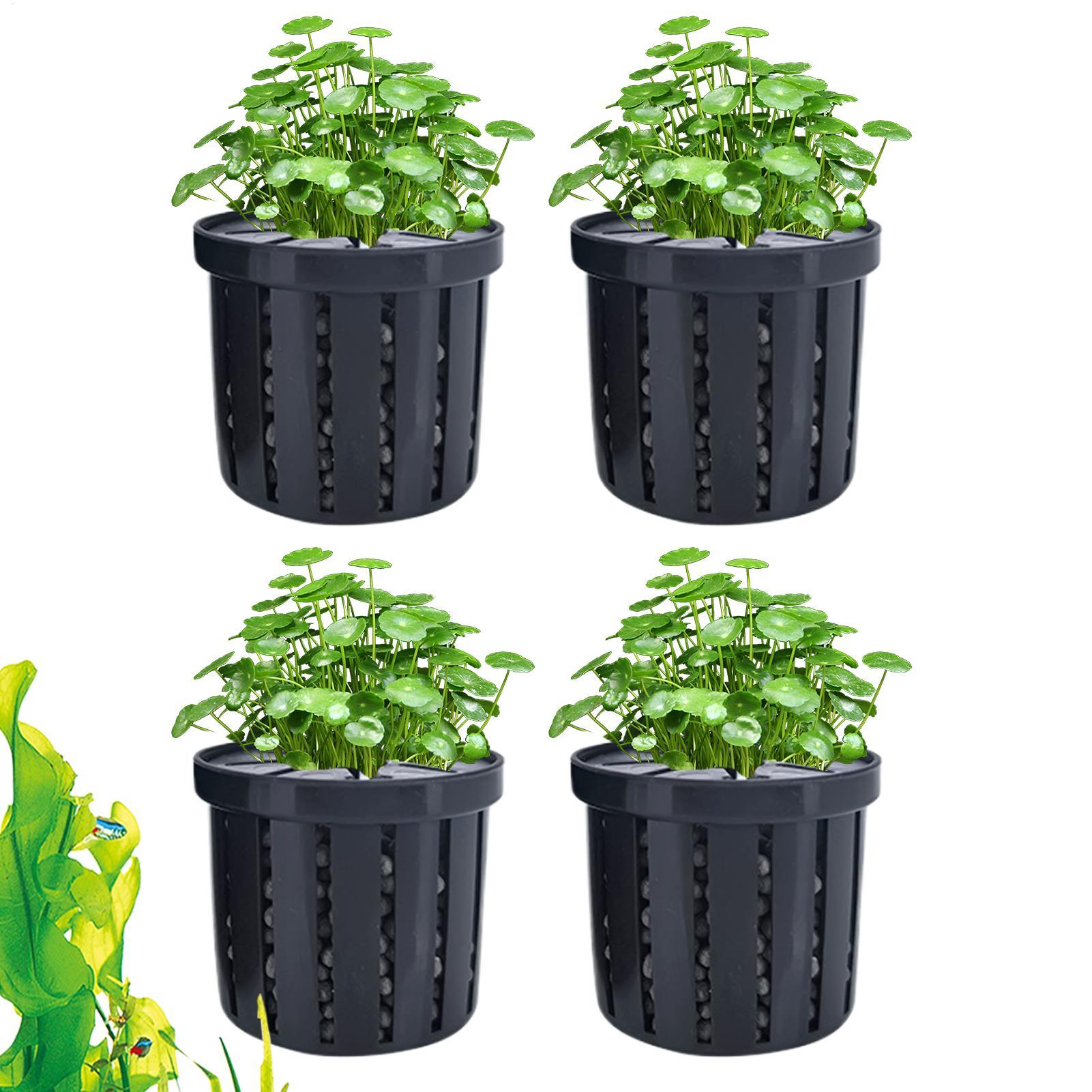 Aquarium Plant Live - Set di 4 Vasi per Acquario