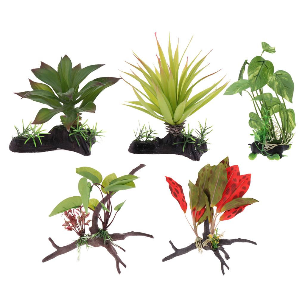 Planted Aquarium Jungle - Pianta per terrario per rettili Forniture