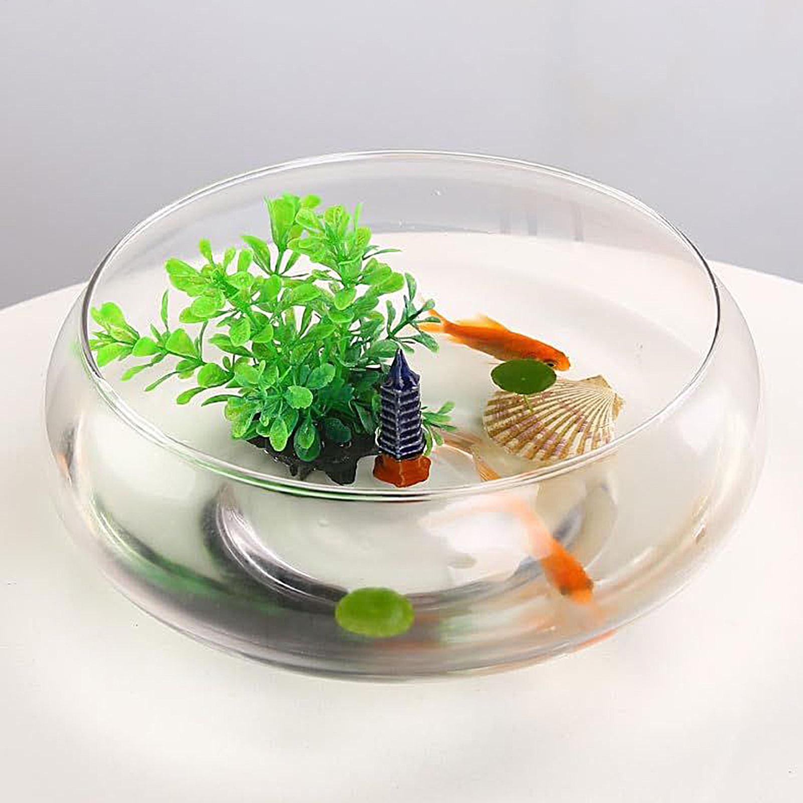 Planted Aquarium Bowl - Vaso in vetro per pesci, grande,