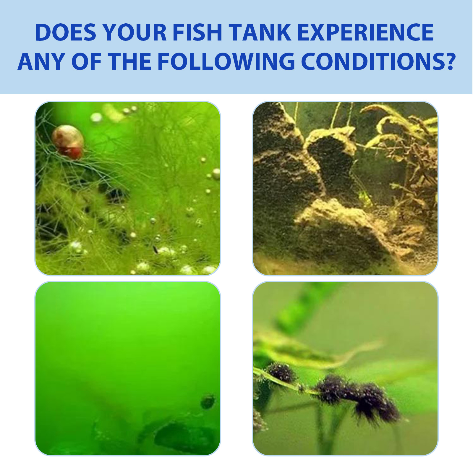 Polvere biologica per il contr - Planted Aquarium Algae Control recensione e prezzo