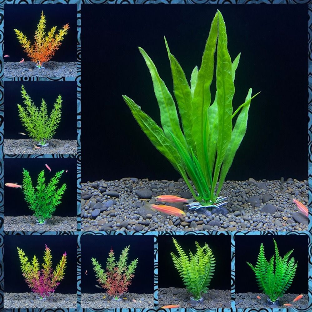 Acquario ornamento pianta acqu - Planted Aquarium Bowl recensione e prezzo