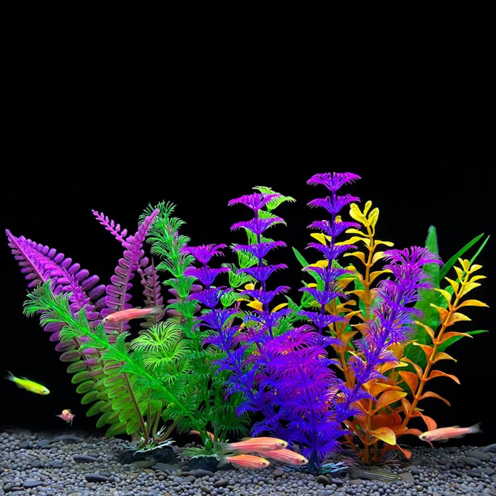 Acquario ornamento pianta acqu - Planted Aquarium Bowl recensione e prezzo