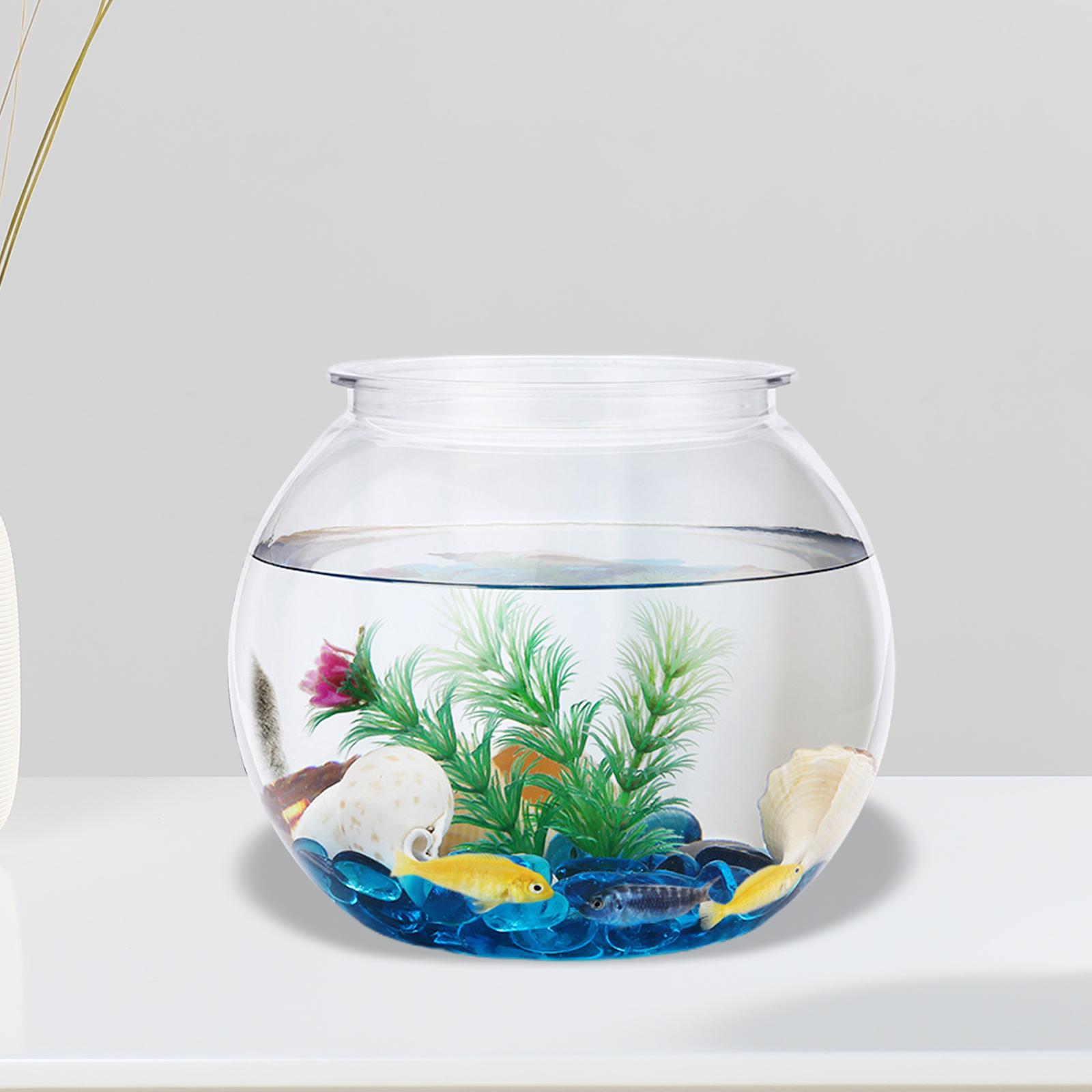 Trasparente piccolo acquario d - Planted Aquarium Bowl recensione e prezzo