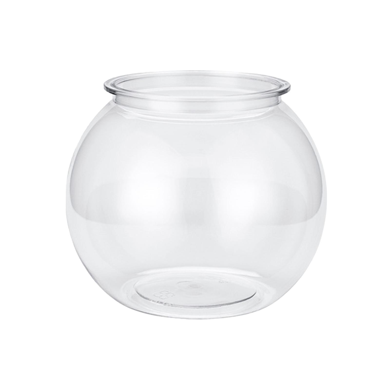 Trasparente piccolo acquario d - Planted Aquarium Bowl recensione e prezzo