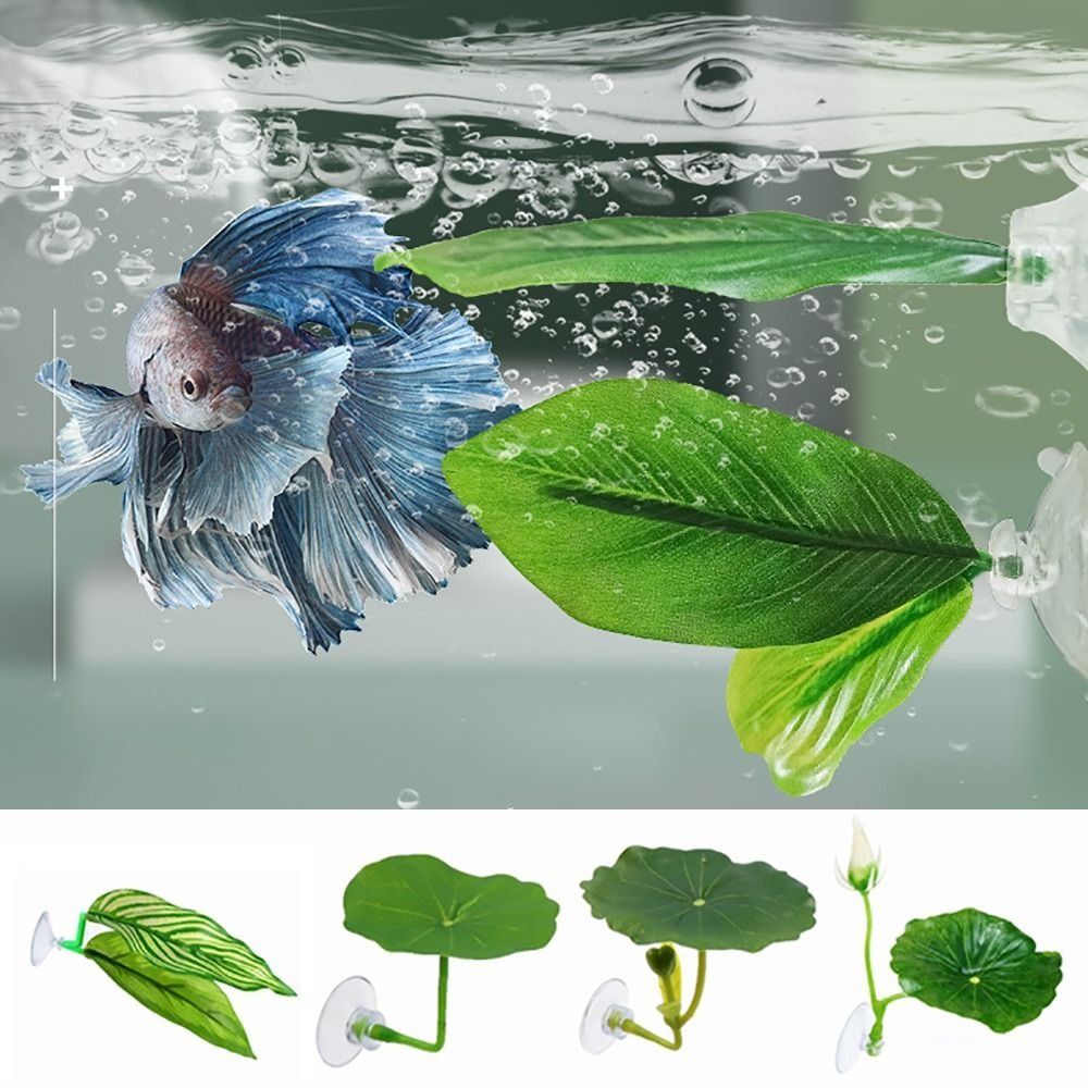 Foglia di plastica per riposo  - Aquarium Plant Live recensione e prezzo