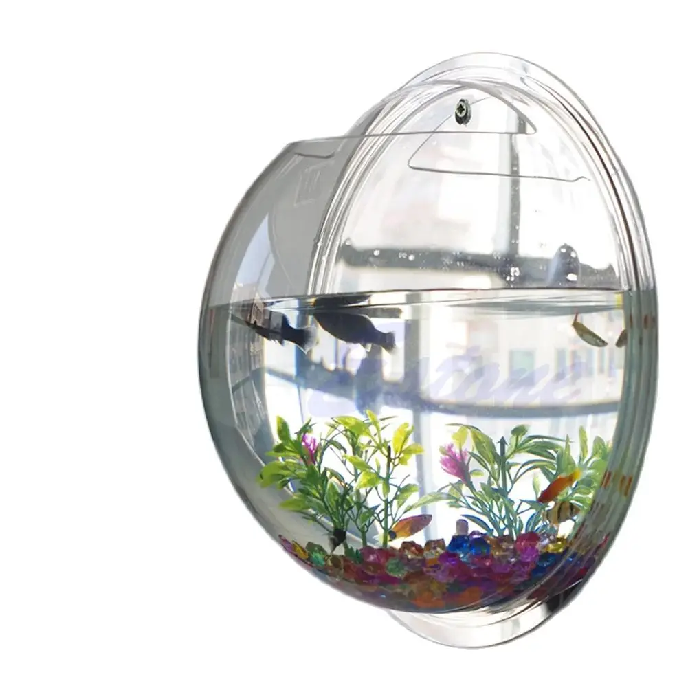 Ciotola per pesci in acrilico  - Planted Aquarium Bowl recensione e prezzo