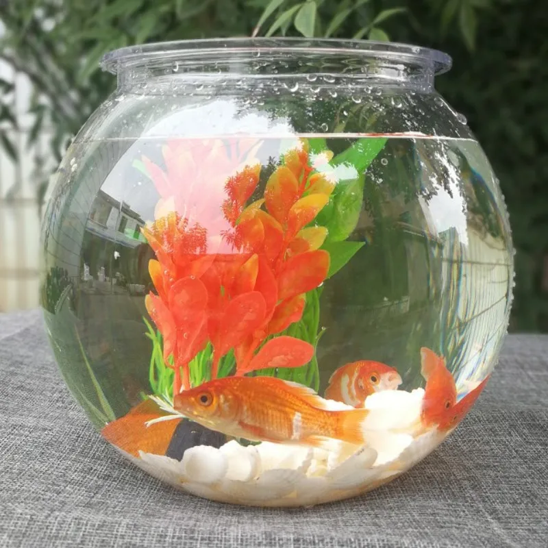 Pesci rossi ciotola desktop di - Planted Aquarium Bowl recensione e prezzo