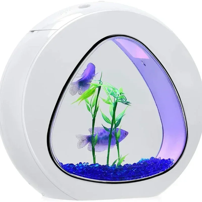 Acquario Betta, acquario con l - Planted Aquarium Bowl recensione e prezzo