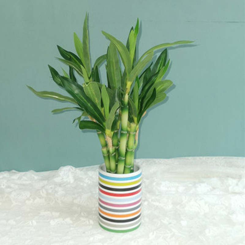 Nuovo 40 cm rFtificial Lucky B - Aquarium Planted Aquarium recensione e prezzo