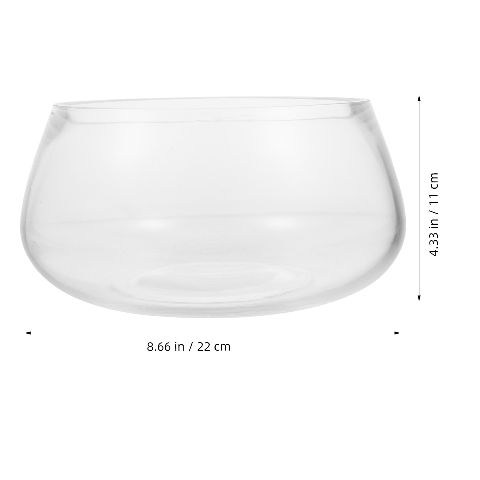 Mini Acquario Rotondo in Vetro - Planted Aquarium Bowl recensione e prezzo