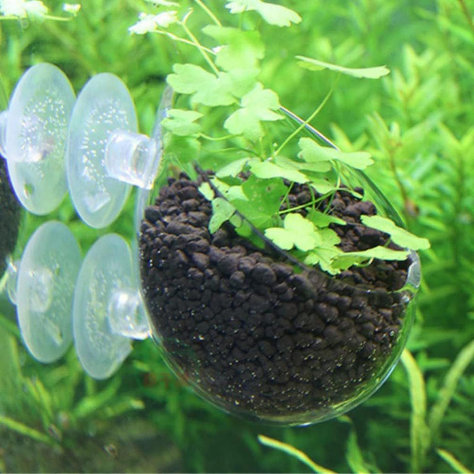 Supporto per Piante Acquatiche - Aquarium Plant Live recensione e prezzo