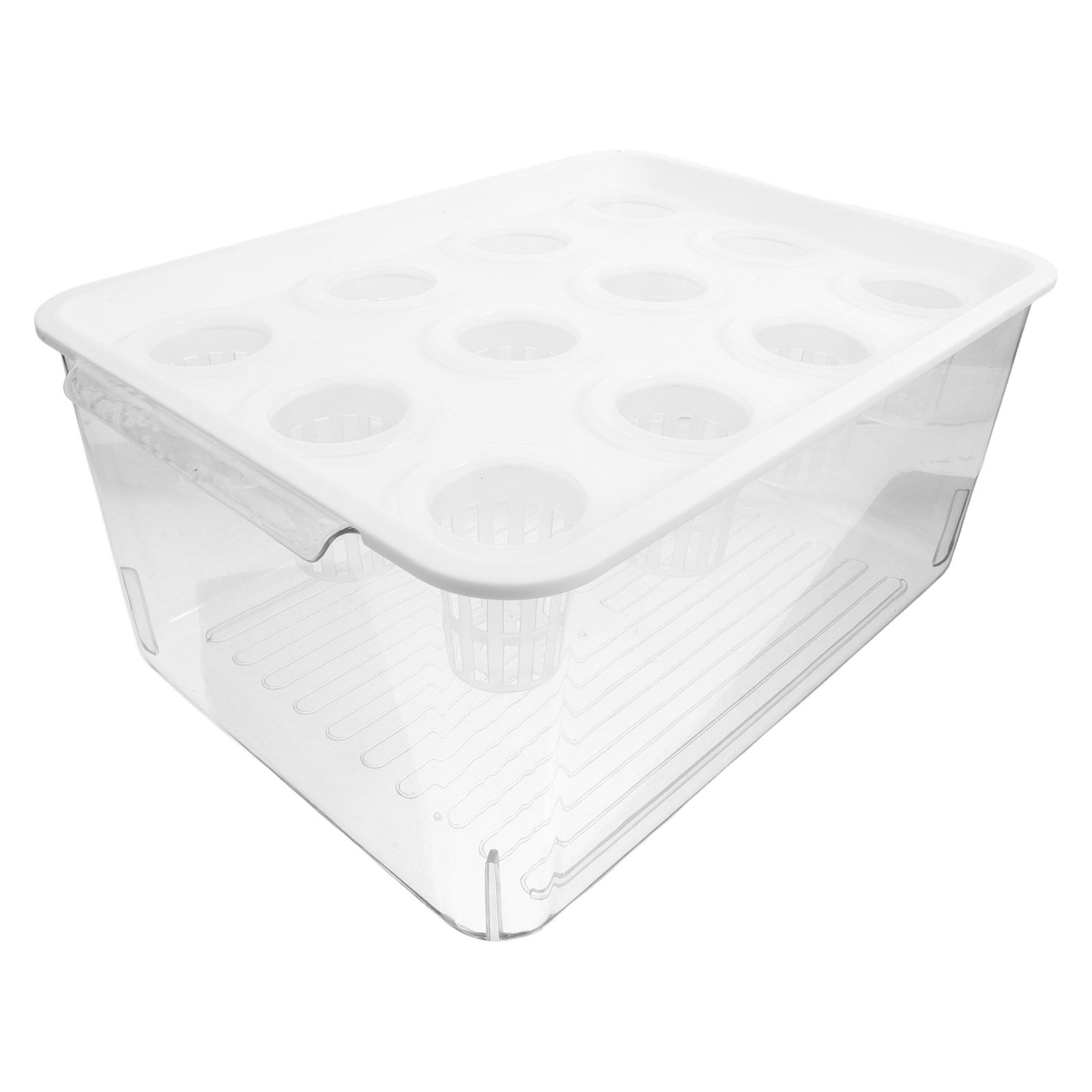 Set di Acquari Trasparenti Sen - Planted Aquarium Bowl recensione e prezzo