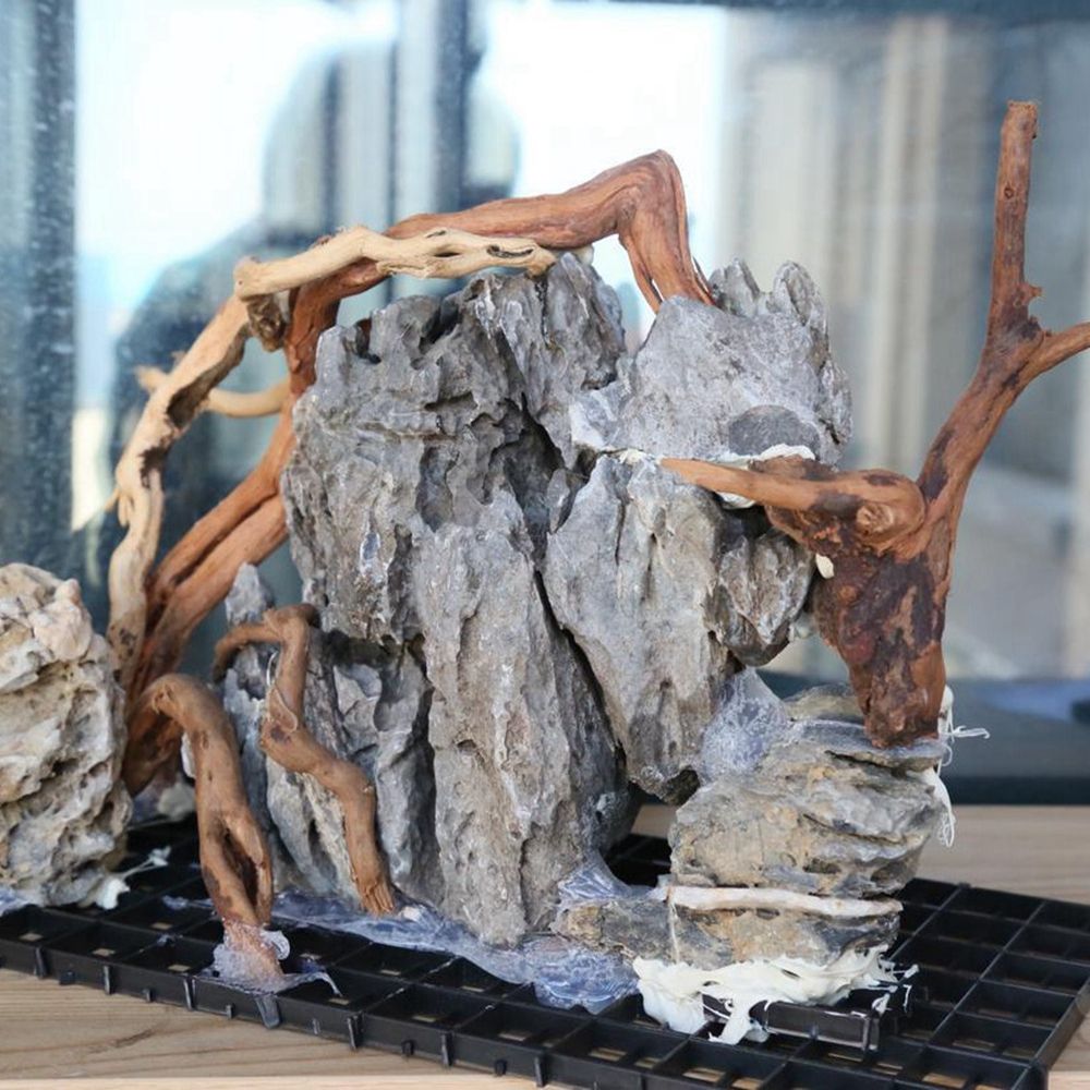 Legno N1N per Terrario Rettili - Aquarium Plant Live recensione e prezzo