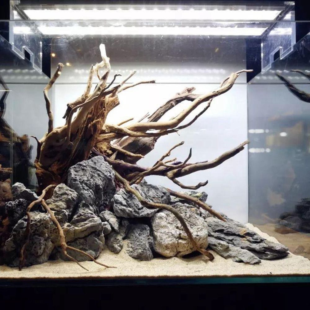 Legno N1N per Terrario Rettili - Aquarium Plant Live recensione e prezzo
