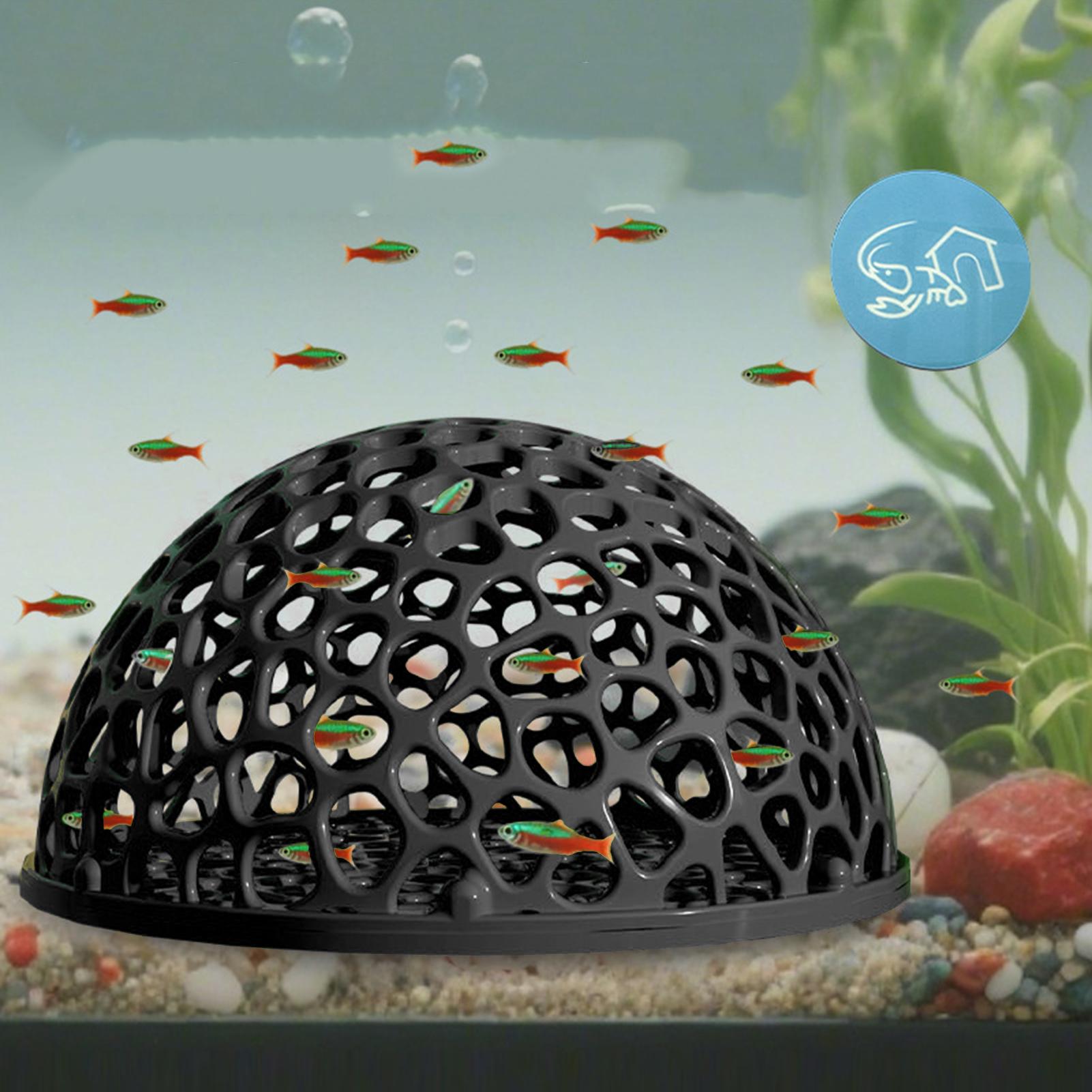 Rifugio per caverne per acquar - Aquarium Plant Live recensione e prezzo
