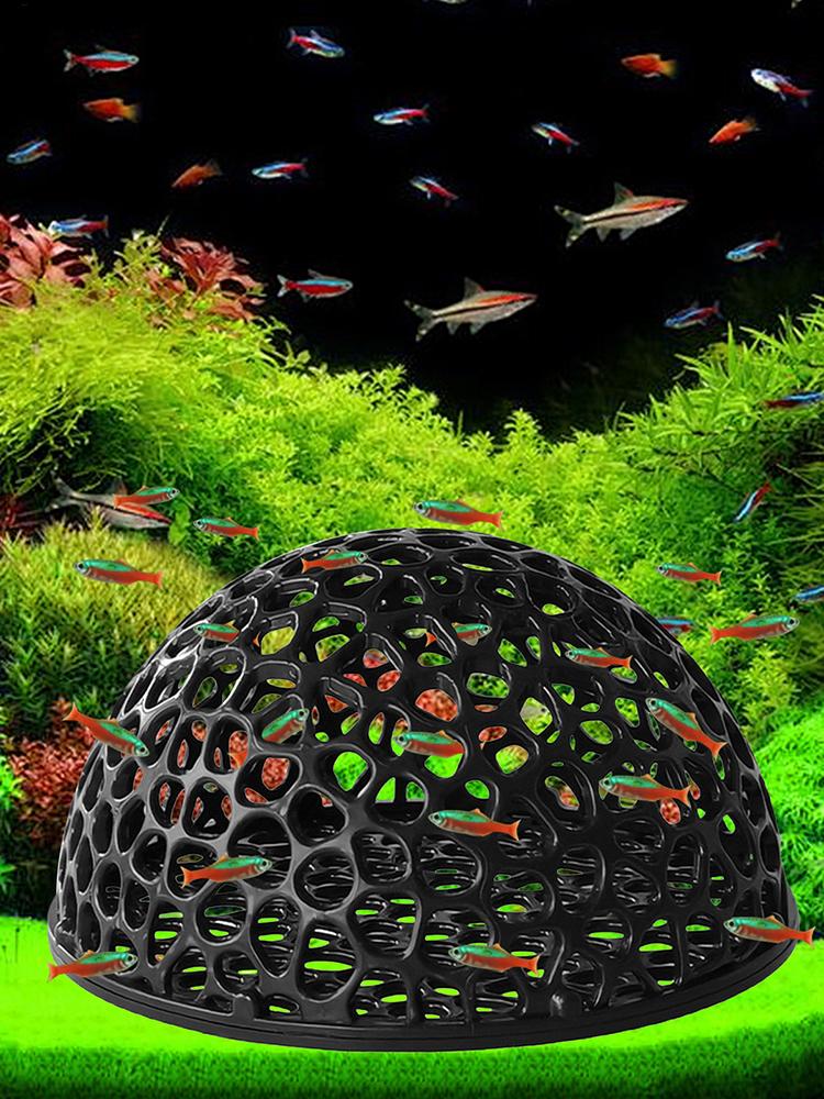 Rifugio per caverne per acquar - Aquarium Plant Live recensione e prezzo