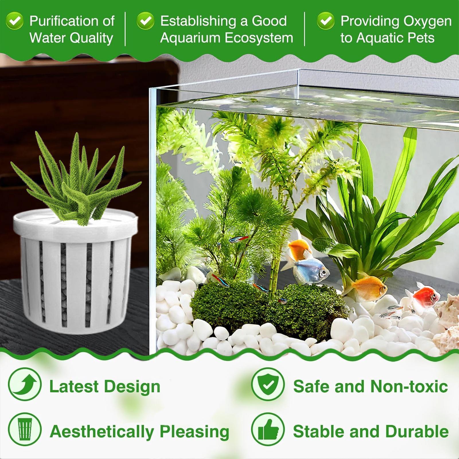 Set di 4 Vasi per Acquario con - Aquarium Plant Live recensione e prezzo