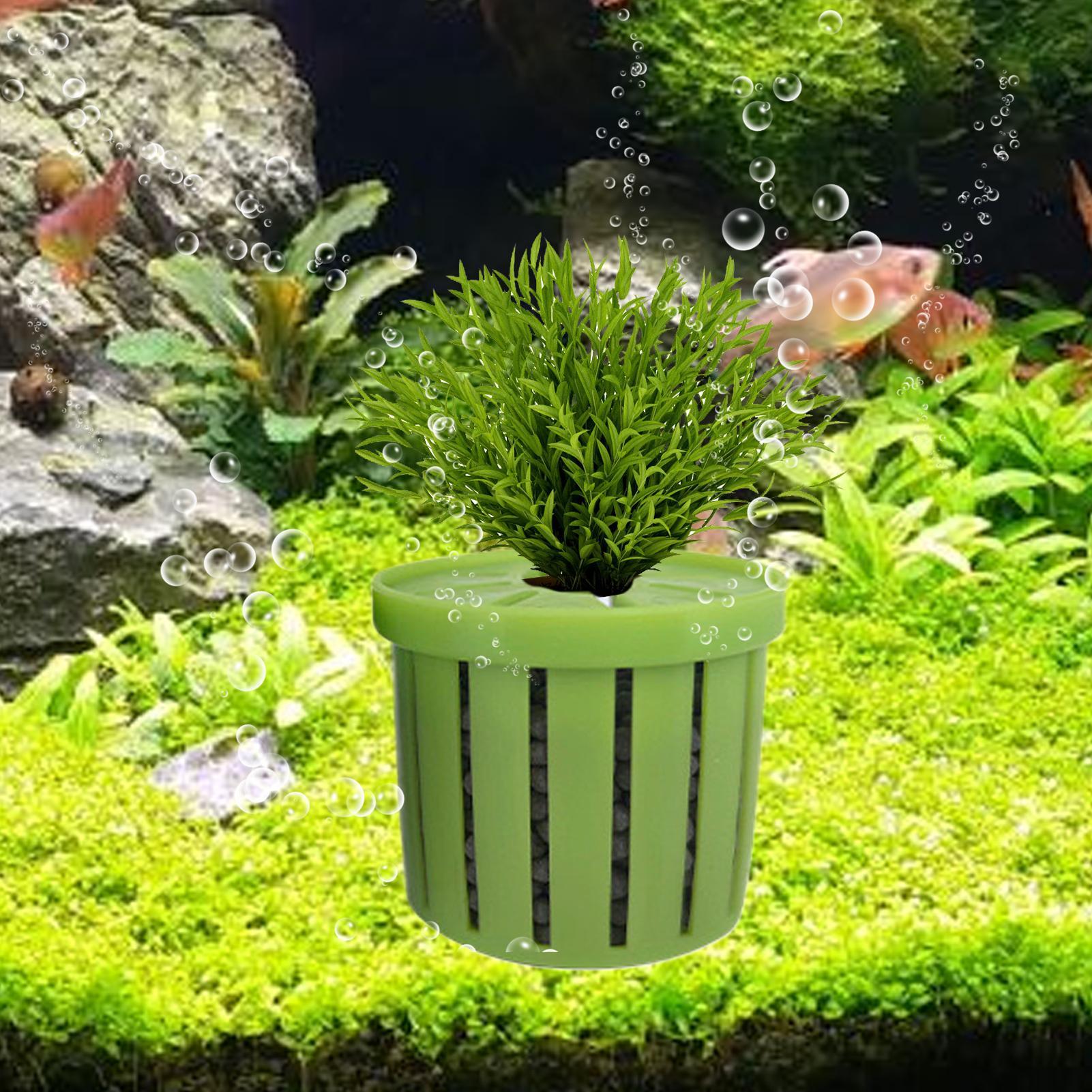 Set di 4 Vasi per Acquario con - Aquarium Plant Live recensione e prezzo
