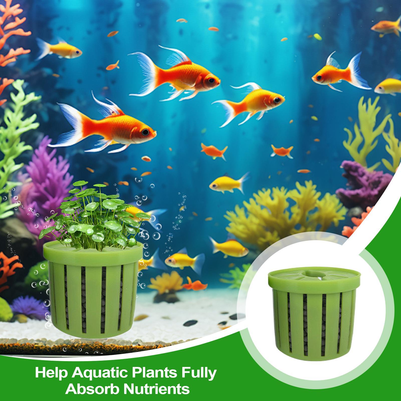 Set di 4 Vasi per Acquario con - Aquarium Plant Live recensione e prezzo