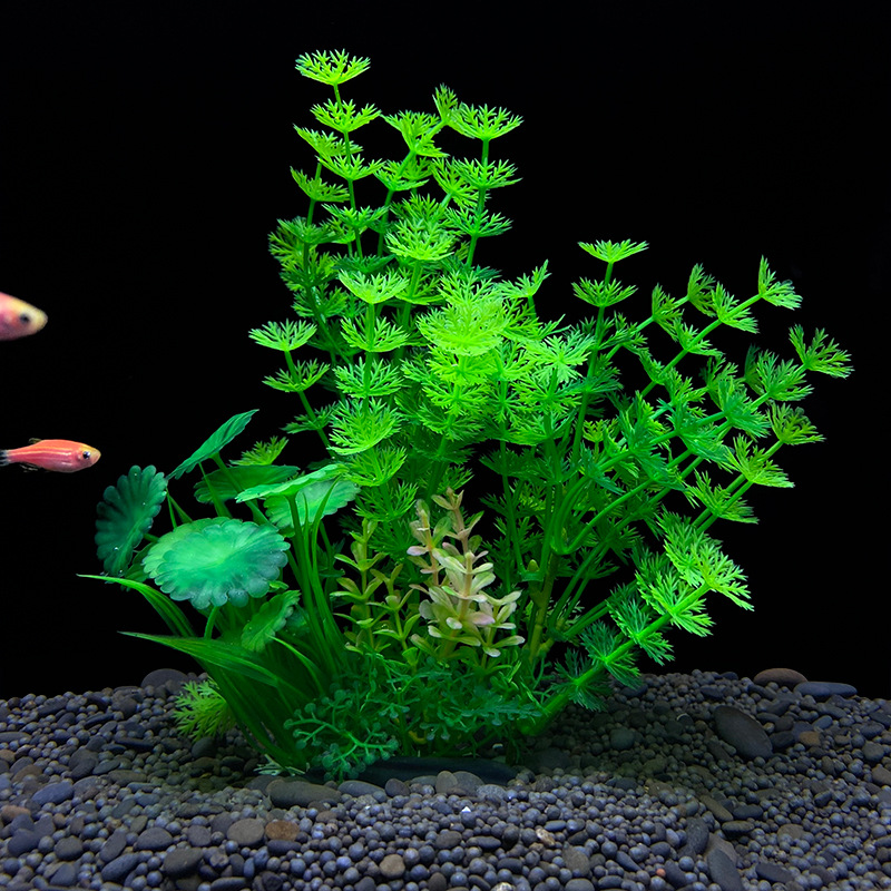 1 Pezzo Erba Acquatica Artific - Planted Aquarium Bowl recensione e prezzo