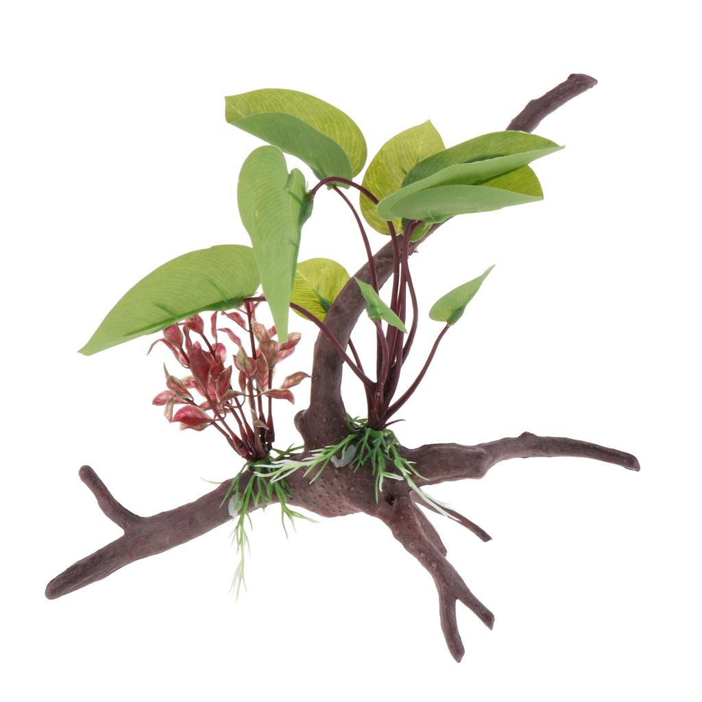 Pianta per terrario per rettil - Planted Aquarium Jungle recensione e prezzo