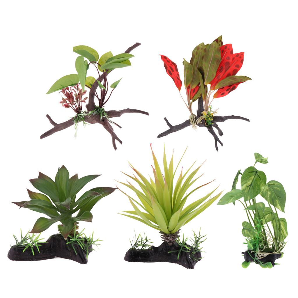 Pianta per terrario per rettil - Planted Aquarium Jungle recensione e prezzo