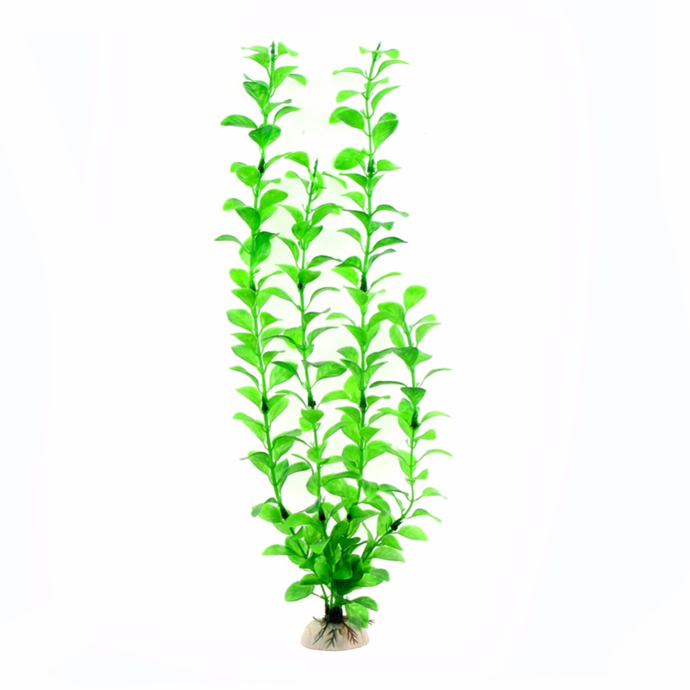 Ornamento Accessori per acquar - Aquarium Plant Live recensione e prezzo
