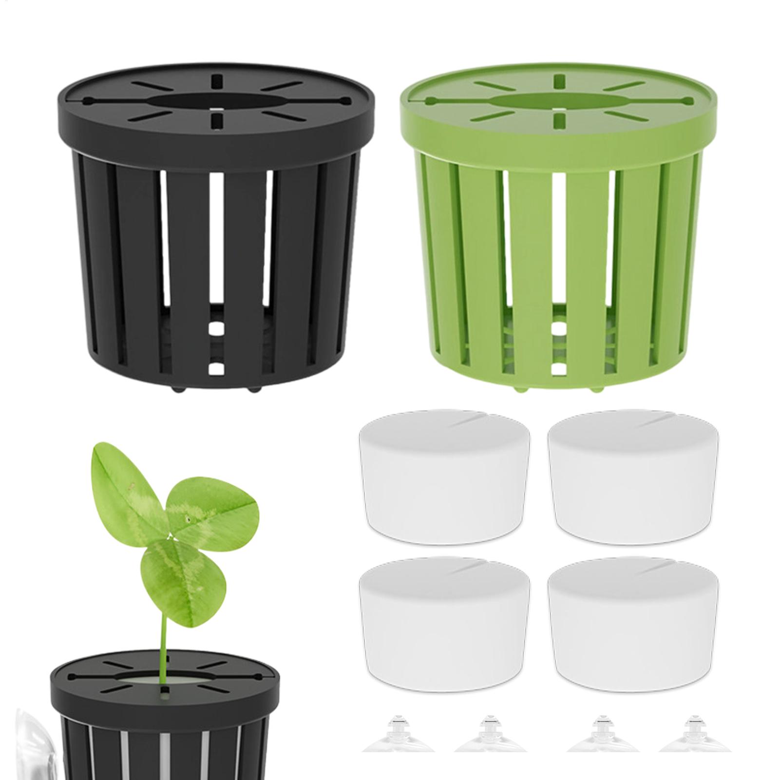 Set di 4 Supporti per Piante A - Aquarium Plant Live recensione e prezzo