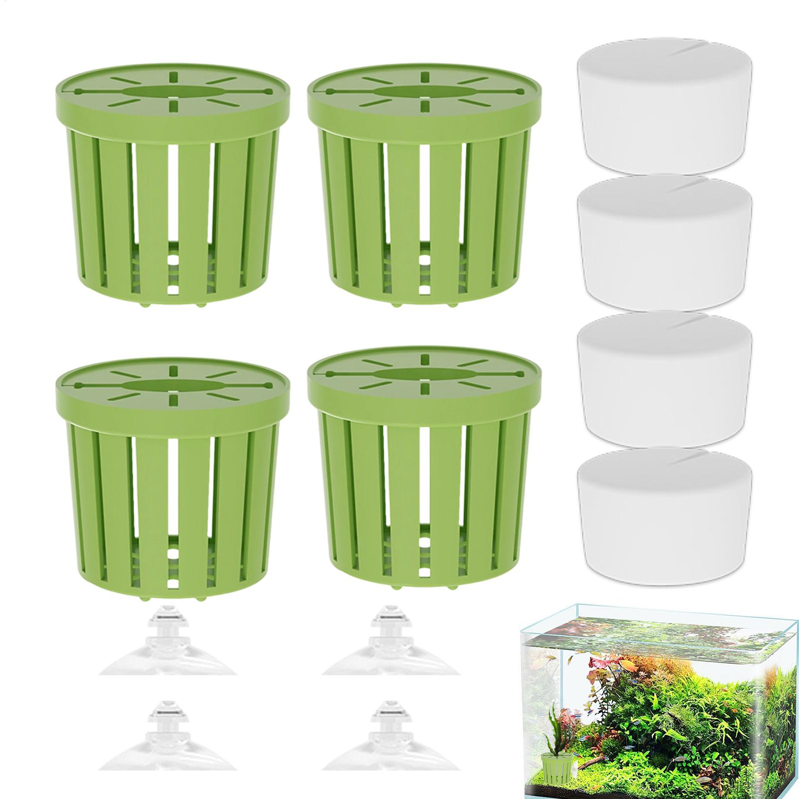 Set di 4 Supporti per Piante A - Aquarium Plant Live recensione e prezzo