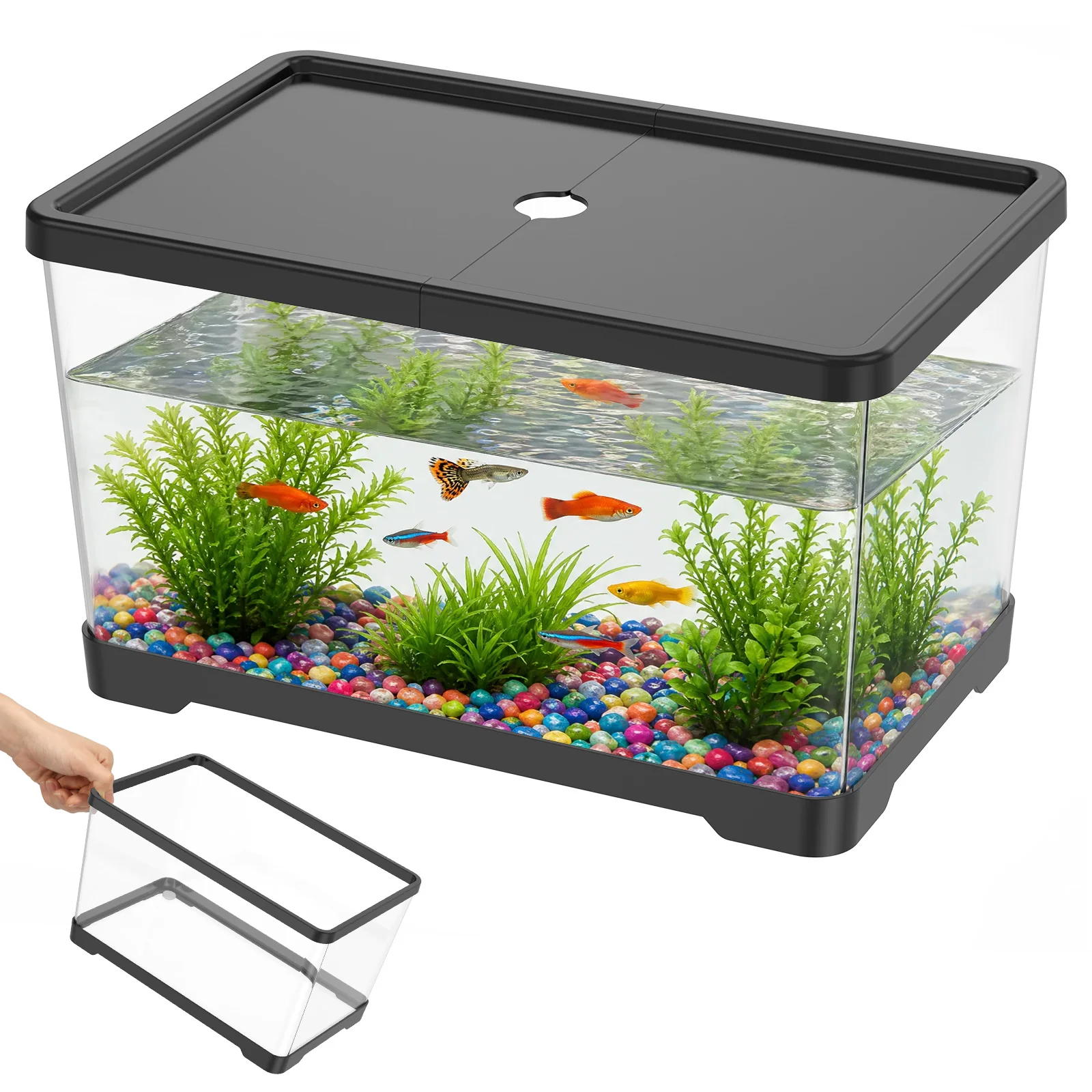 Acquario trasparente con coper - Planted Aquarium Bowl recensione e prezzo