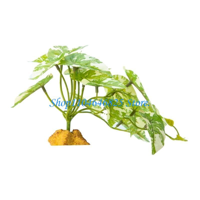 Acquari Rettili Giungla Erba R - Planted Aquarium Jungle recensione e prezzo