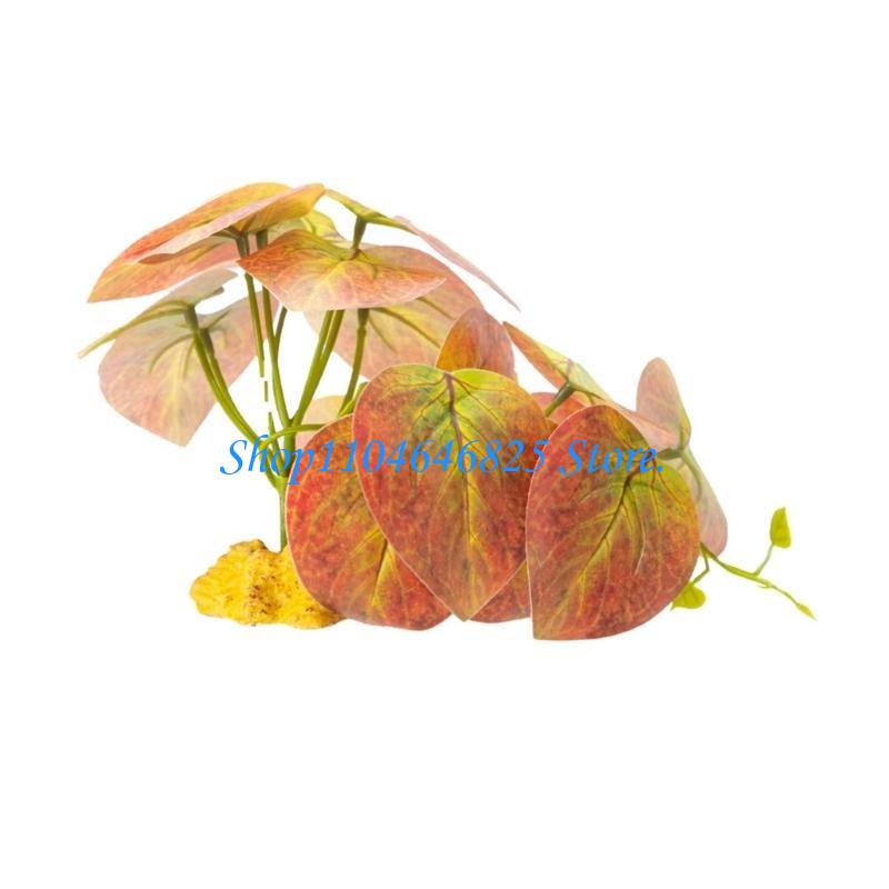 Acquari Rettili Giungla Erba R - Planted Aquarium Jungle recensione e prezzo