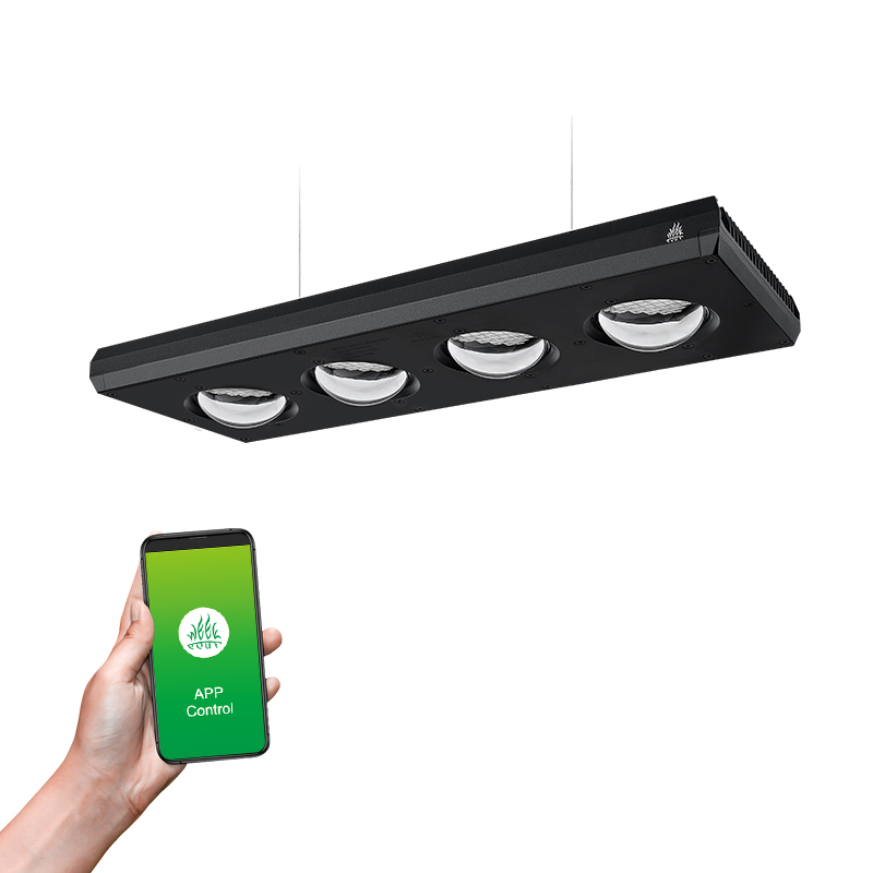 Lampada LED per Acquario Week  - Planted Aquarium High Tech recensione e prezzo