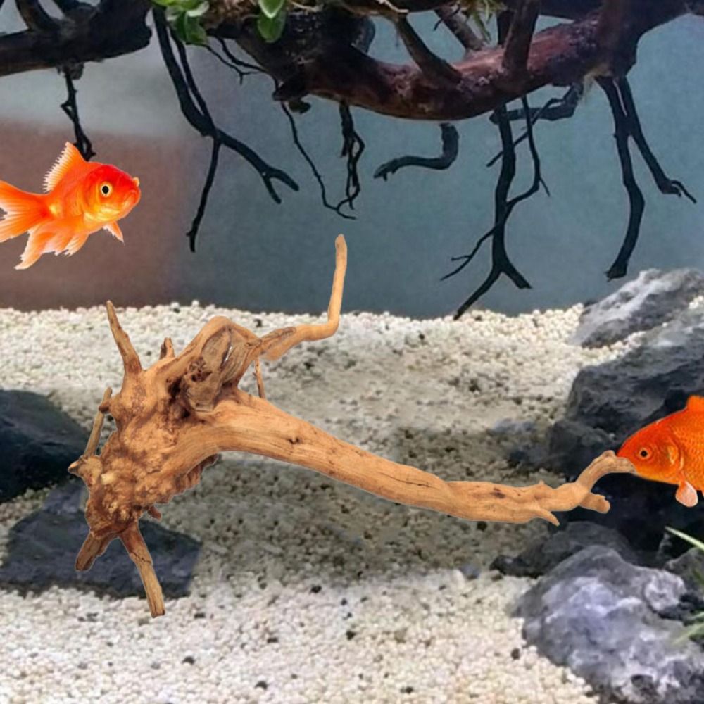 Legno Naturale per Acquario 20 - Planted Aquarium Bowl recensione e prezzo