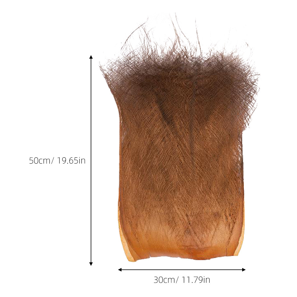 5 Fogli di Corteccia di Palma  - Aquarium Planted Aquarium recensione e prezzo