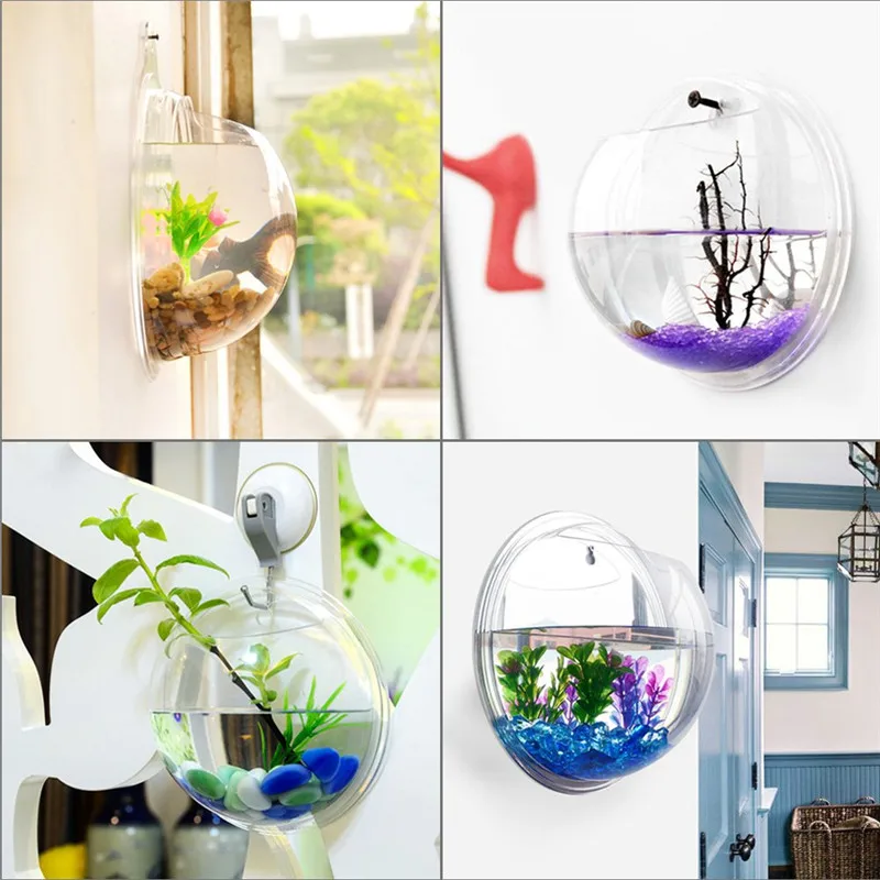 Trasparente acrilico appeso a  - Planted Aquarium Bowl recensione e prezzo