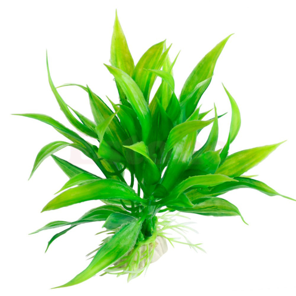 15CM/10CM ornamenti per piante - Aquarium Plant Live recensione e prezzo