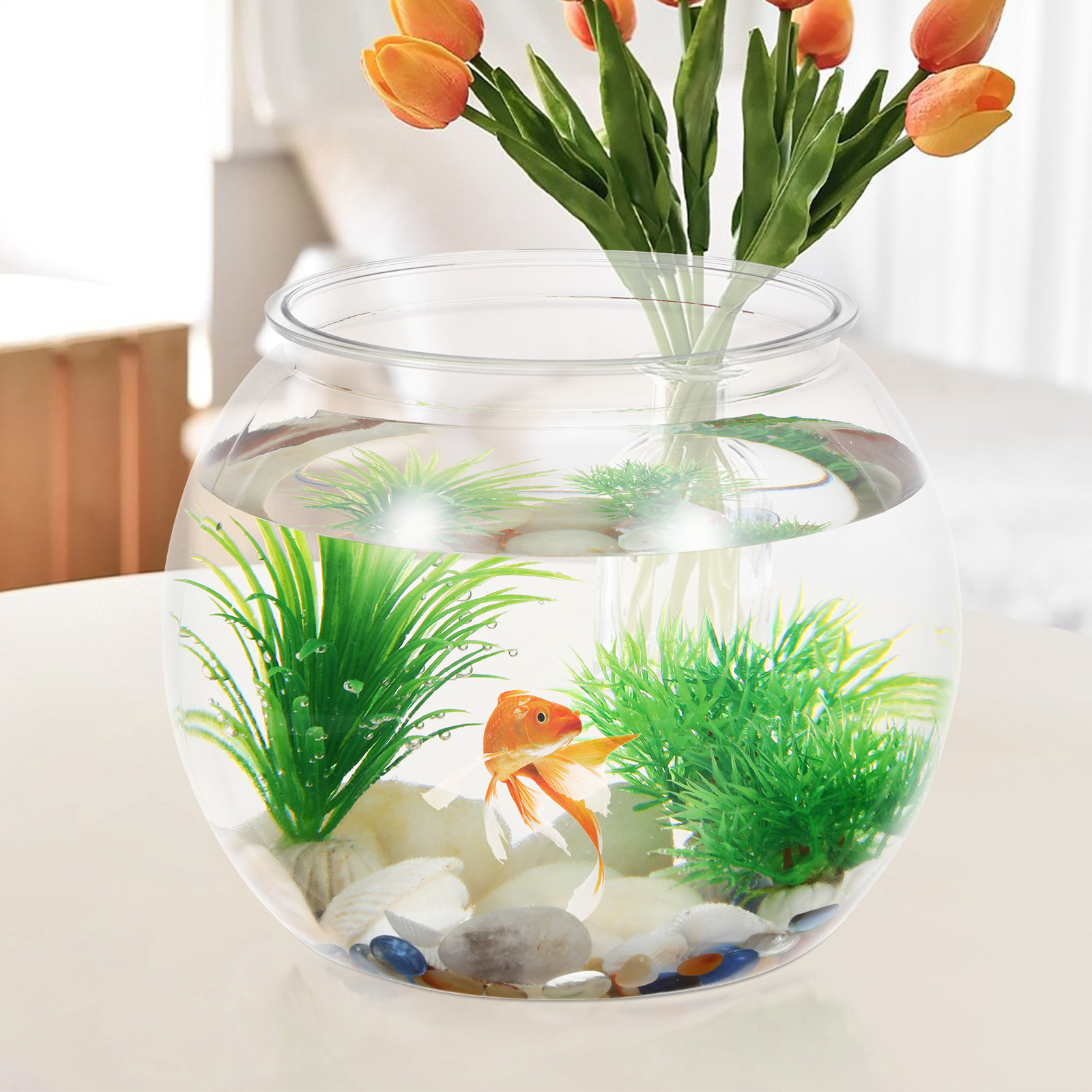 Acquario Rotondo in Plastica A - Planted Aquarium Bowl recensione e prezzo