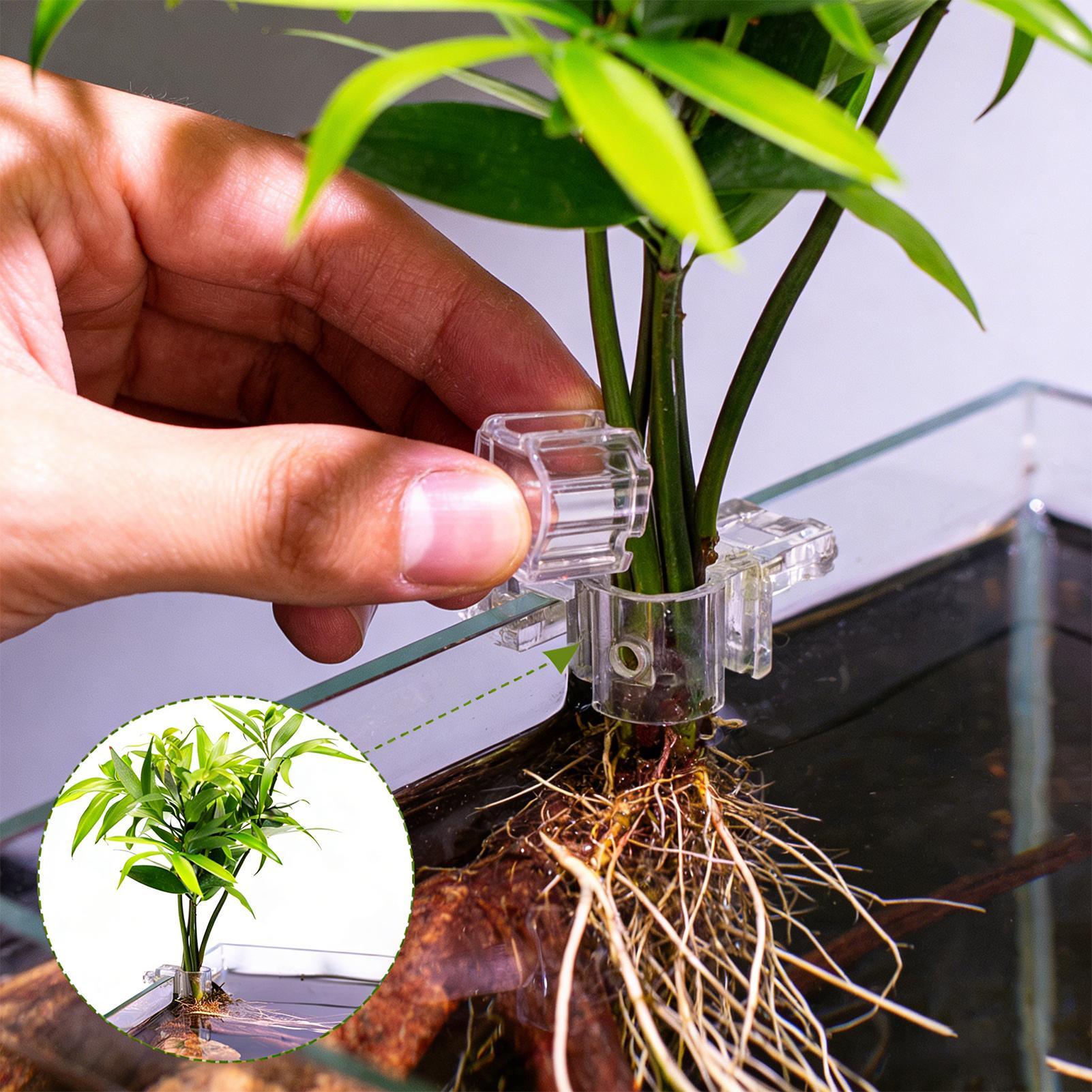 Set di 6 Supporti Trasparenti  - Aquarium Plant Live recensione e prezzo