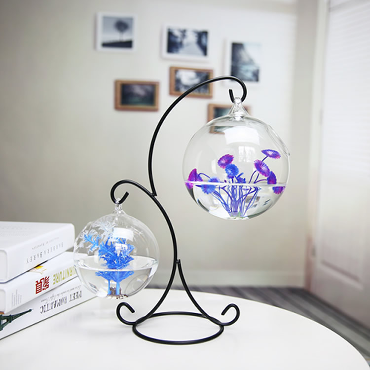 Creativo a due piani sospeso t - Planted Aquarium Bowl recensione e prezzo