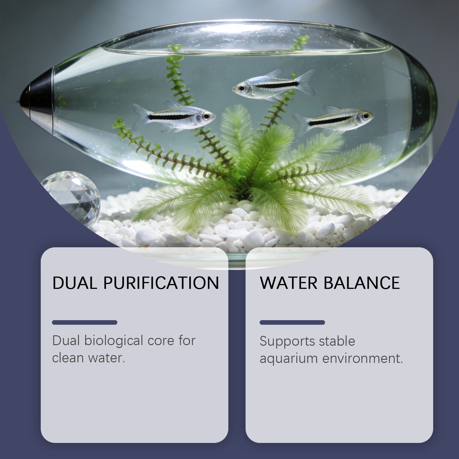 Pastiglie Rimuovi Alghe per Ac - Planted Aquarium Algae Control recensione e prezzo