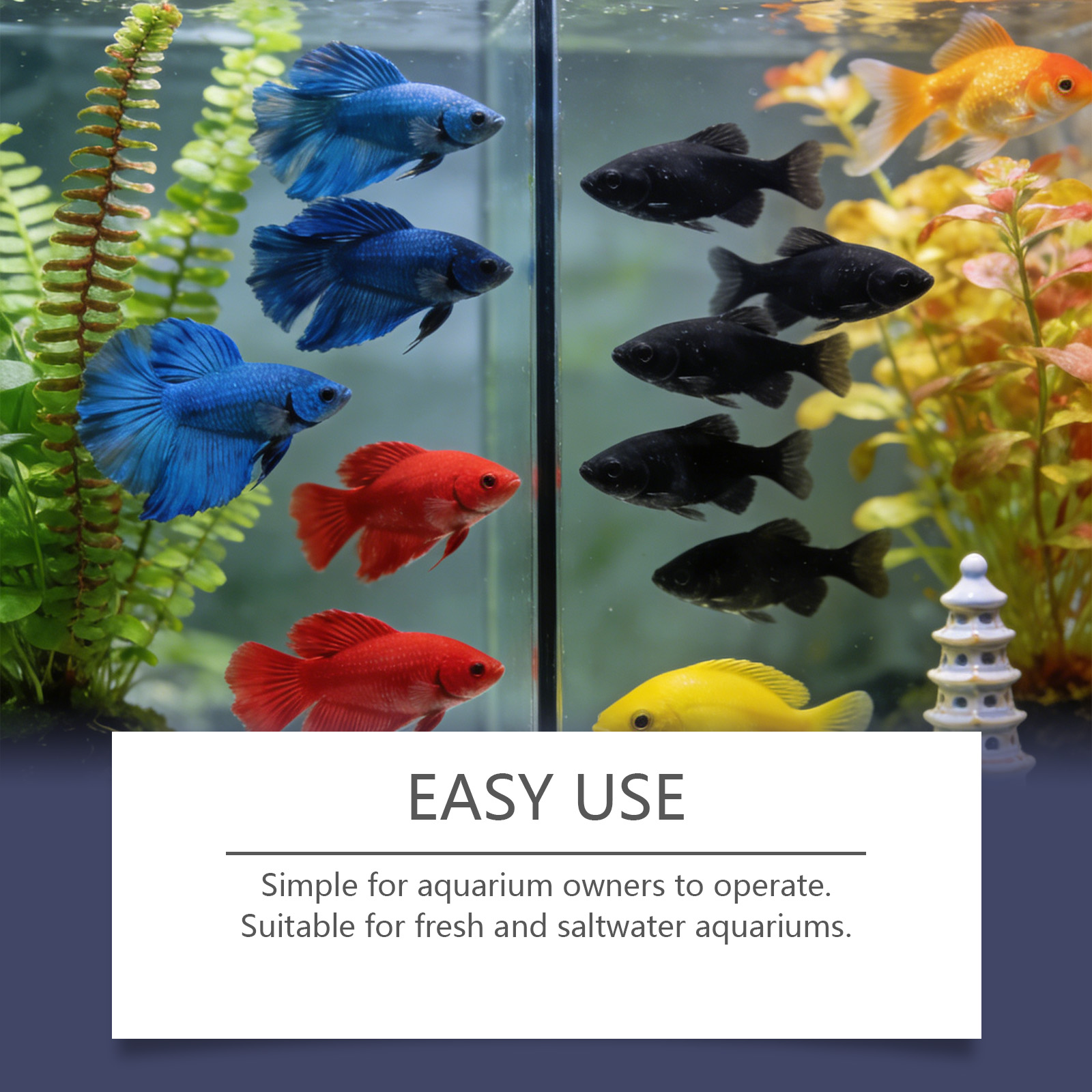Pastiglie Rimuovi Alghe per Ac - Planted Aquarium Algae Control recensione e prezzo