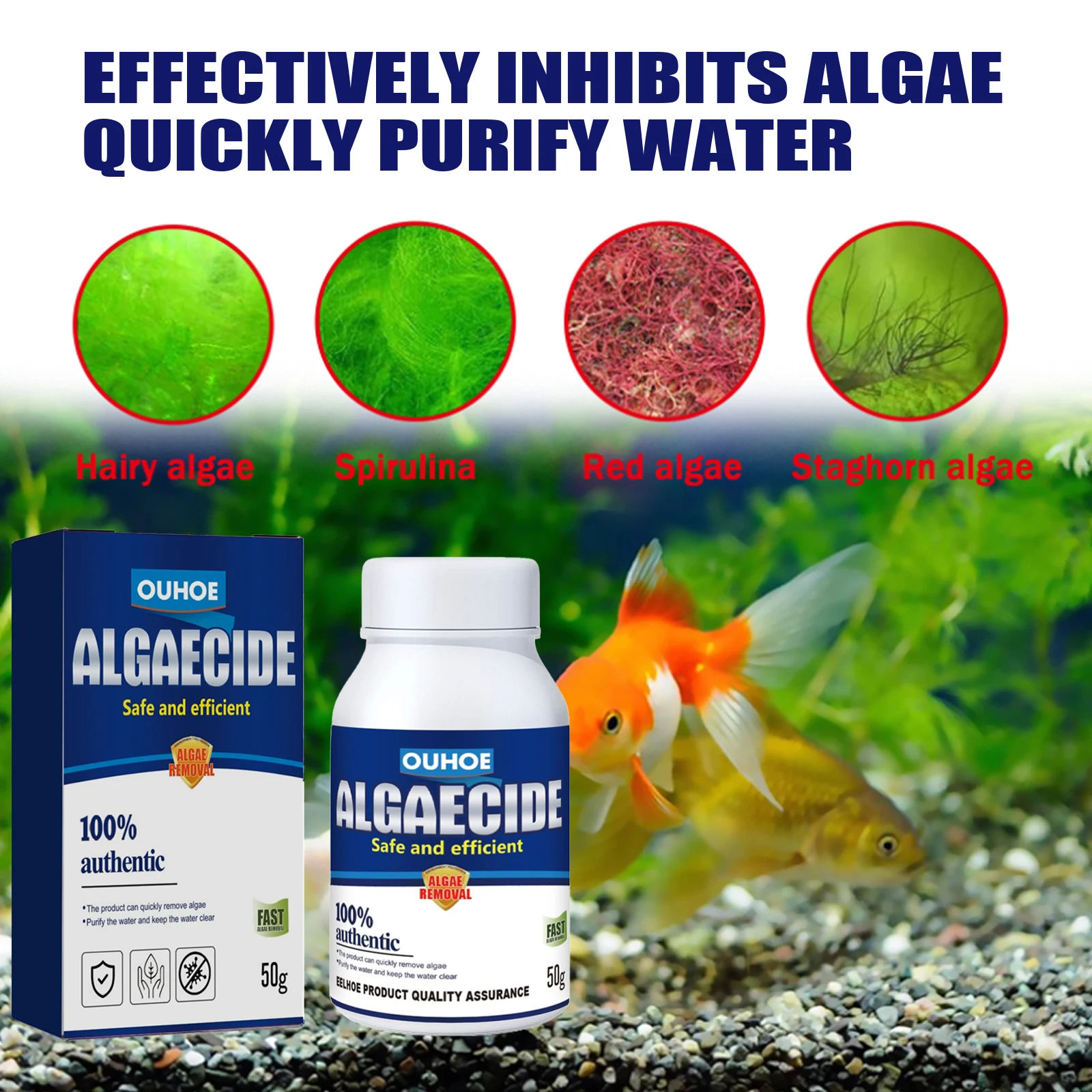 Rimozione delle alghe dell'acq - Planted Aquarium Algae Control recensione e prezzo