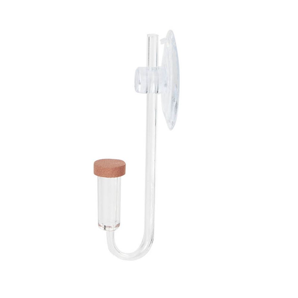 Mini acquario acrilico Pianta  - Aquarium Plant Live recensione e prezzo